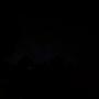 PXL_20260715_032827603.NIGHT.jpg