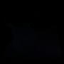 PXL_20260715_032833709.NIGHT.jpg