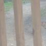 PXL_20260731_133038296.jpg