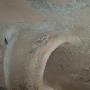 PXL_20260613_183236000.jpg