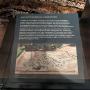 PXL_20260613_183800362.MP.jpg
