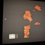 PXL_20260613_184711725.jpg