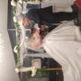 IMG_20250927_193433035.jpg