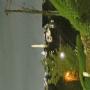 IMG_20250927_230948657.jpg