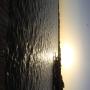 IMG_8163.JPG
