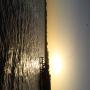 IMG_8169.JPG