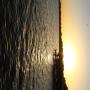 IMG_8171.JPG