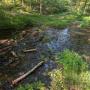 PXL_20260906_145211007.jpg