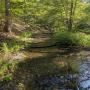 PXL_20260906_145407057.MP.jpg