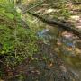 PXL_20260906_151437174.MP.jpg