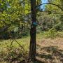 PXL_20260906_160034725.jpg