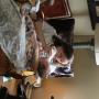IMG_8173.JPG