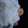 IMG_8287.JPG