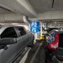 PXL_20260802_114845184.MP.jpg