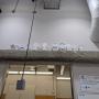 PXL_20260805_180600120.jpg