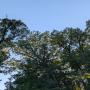 PXL_20260512_232901988.jpg