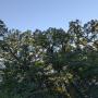 PXL_20260512_232905911.jpg