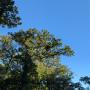 PXL_20260512_232946248.jpg