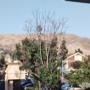 IMG_20230621_185811878.jpg
