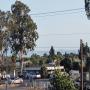 IMG_20230621_185918322.jpg