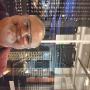 IMG_20230623_145327597.jpg