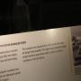 IMG_8545.JPG