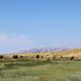 IMG_8626.JPG