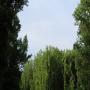 IMG_6956.JPG