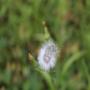 IMG_6959.JPG