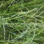 IMG_6970.JPG