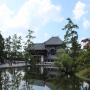 Japan_6-2026.jpg