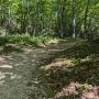 Middle_Fork_Hike_7-30-2026.jpg