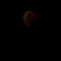 eclipse_01-20-19.jpg