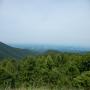 DSCN6991.JPG