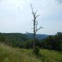 DSCN6997.JPG