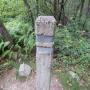 DSCN7028.JPG