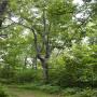 DSCN7029.JPG