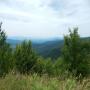 DSCN7035.JPG