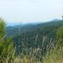 DSCN7038.JPG