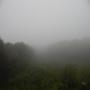 DSCN7081.JPG