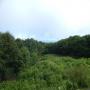 DSCN7086.JPG