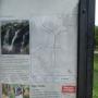 DSCN7089.JPG