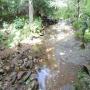 DSCN7091.JPG