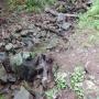 DSCN7093.JPG