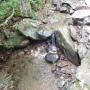 DSCN7094.JPG