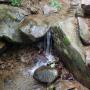 DSCN7095.JPG
