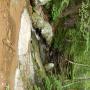 DSCN7098.JPG