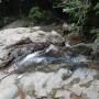 DSCN7101.JPG