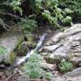 DSCN7102.JPG