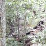 DSCN7103.JPG